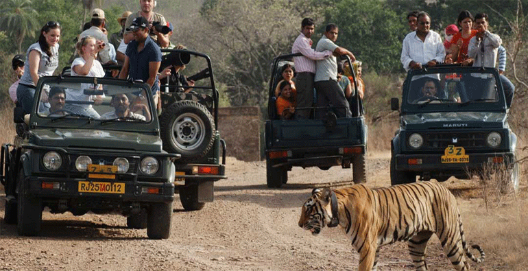 Ranikhet Corbett Tour Package